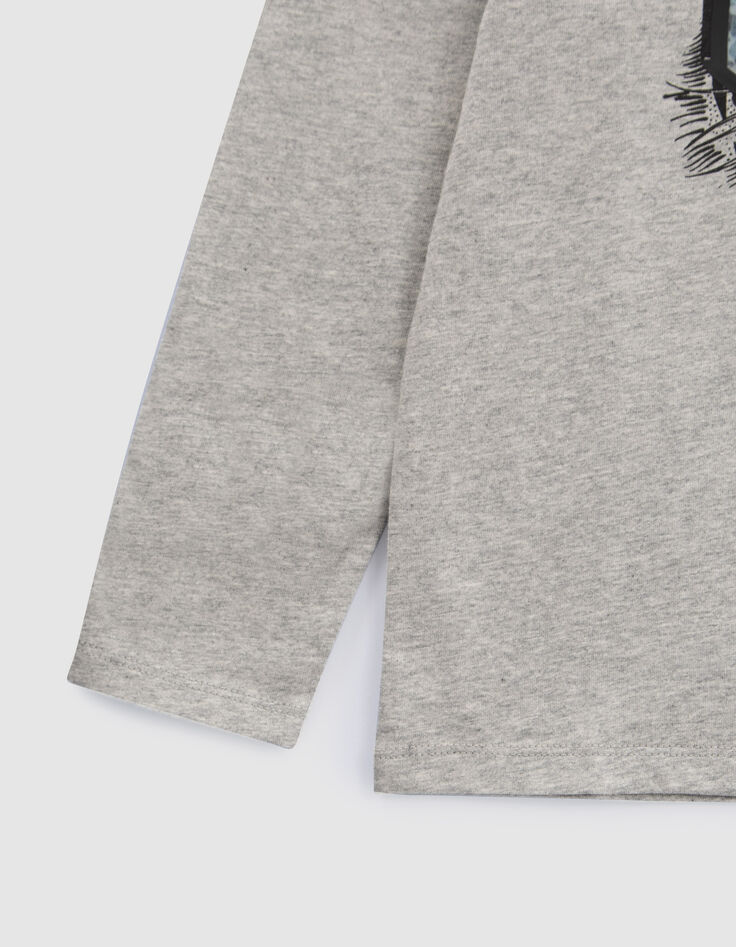 Camiseta gris tigre y máscara lenticular niño-5