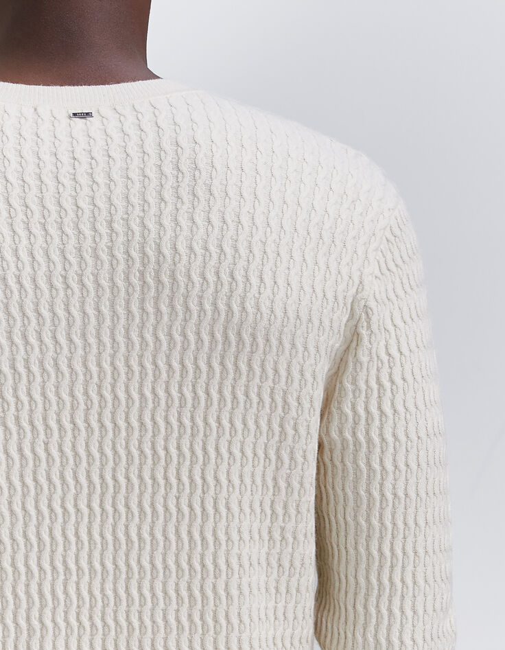 Pull coloris naturel tricot reliefé Homme-5