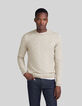 Men's beige mouliné knit round neck sweater-1