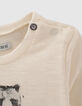 T-shirt écru coton bio ours-chevalier bébé garçon-2