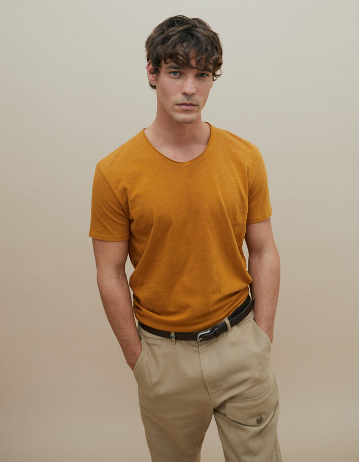 combinatie Hymne Zinloos T-shirt De Essential oranjebruin V-hals Heren