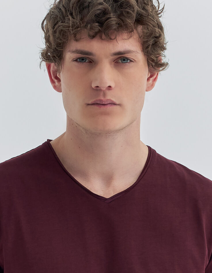 T-shirt L'Essentiel burgundy encolure V Homme-4