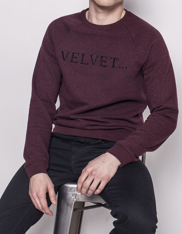 Men's sweatshirt-1