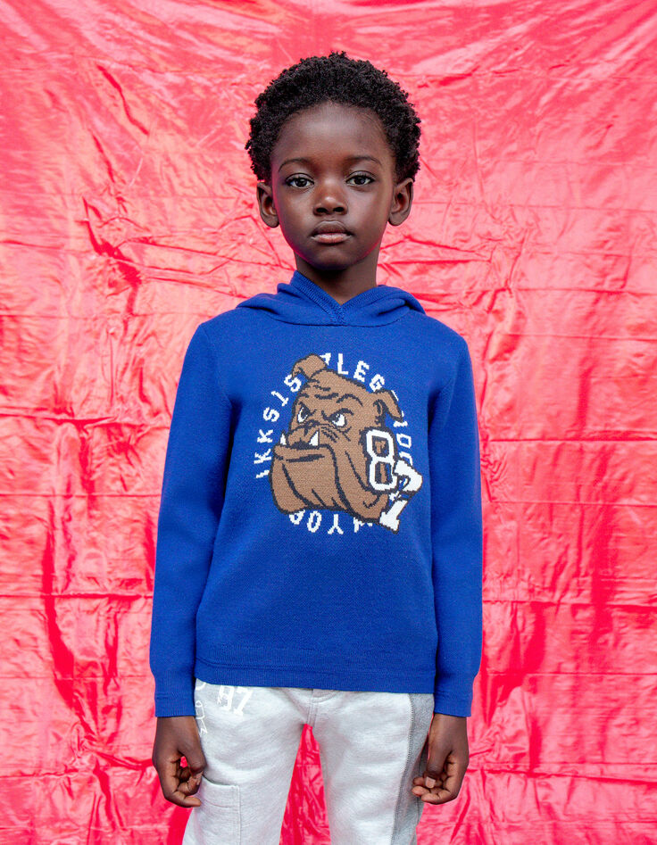 Boys’ blue Intarsia Bulldog knit sweater-2