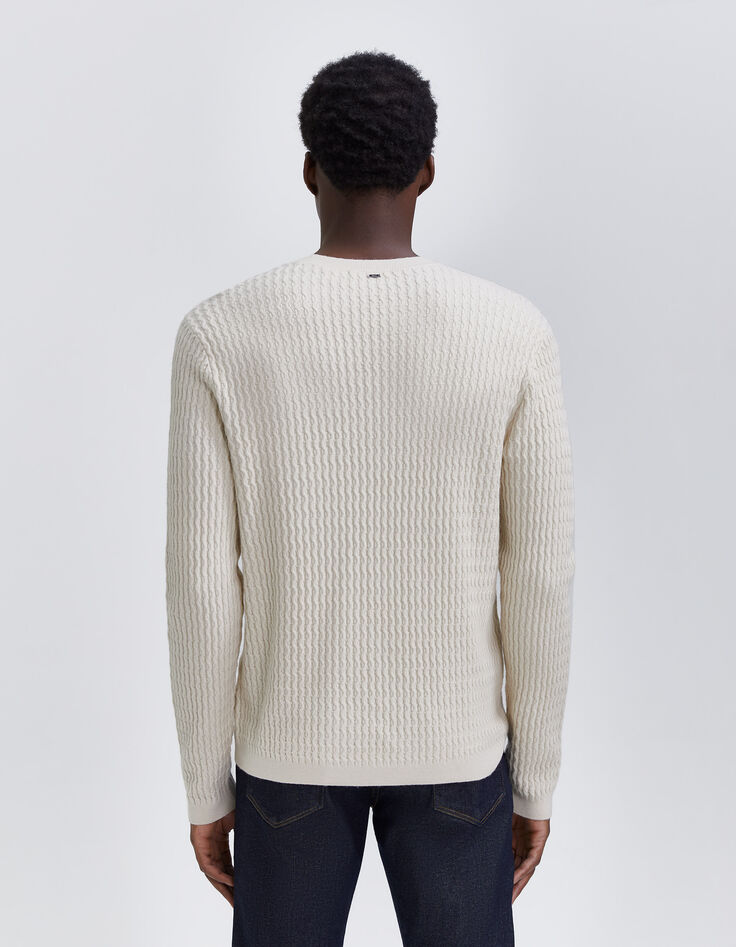 Pull coloris naturel tricot reliefé Homme-4