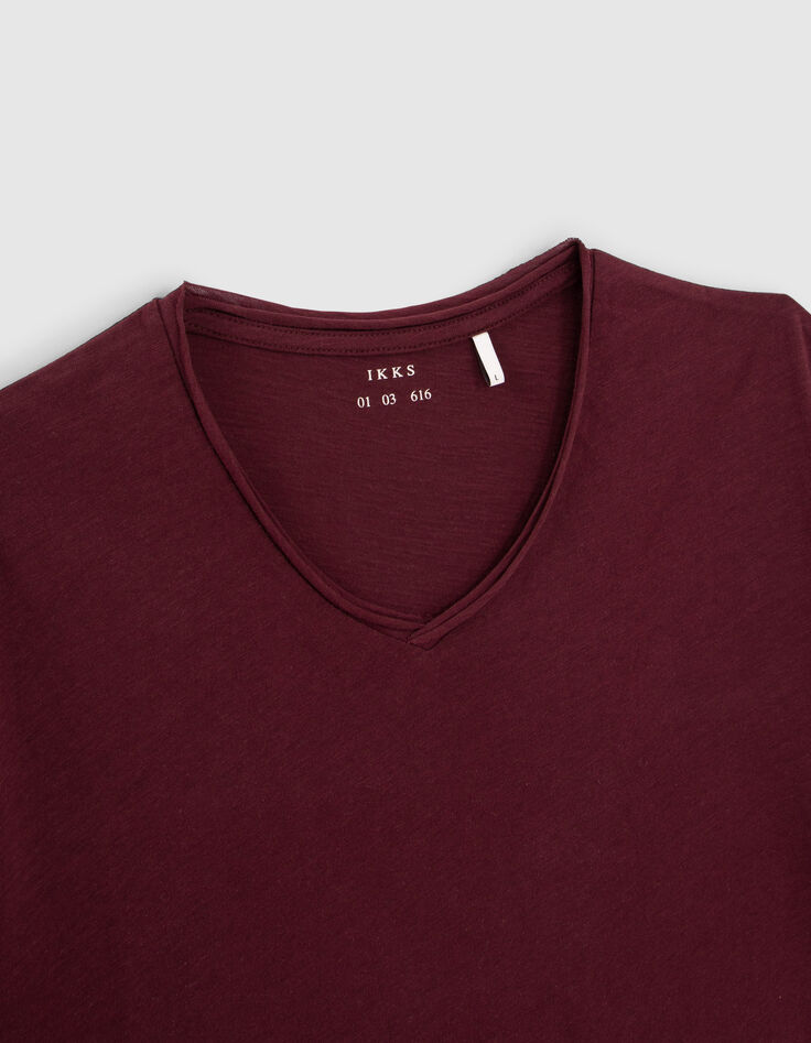 T-shirt De Essential burgundy V-hals Heren-2